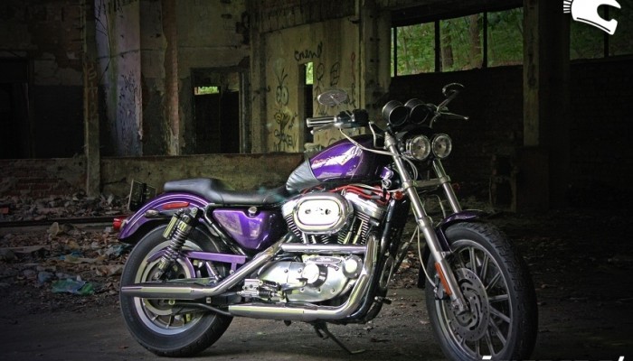 Harley-Davidson Sportster 1200 - zote dziecko