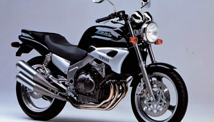Yamaha FZX250 Zeal - blast from the past