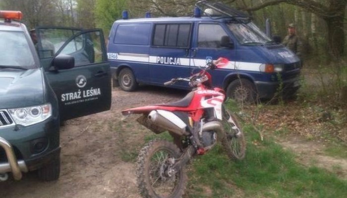 Mandaty i s�d za jazd� po lesie