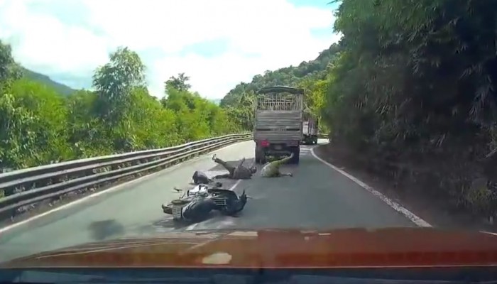 Wietnamczyk na skuterze prawie zabija swoj� rodzin�