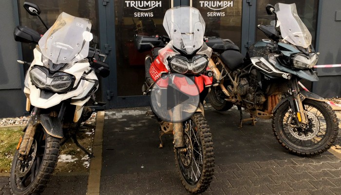 Triumph Academy - pasja, nauka i �wietna zabawa!