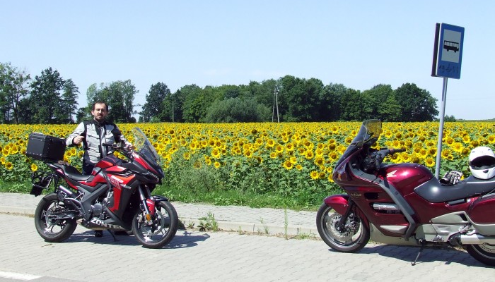 Pojezierze ��czy�sko-W�odawskie i Wy�yna Lubelska. Co warto zobaczy�? (TPM #33)