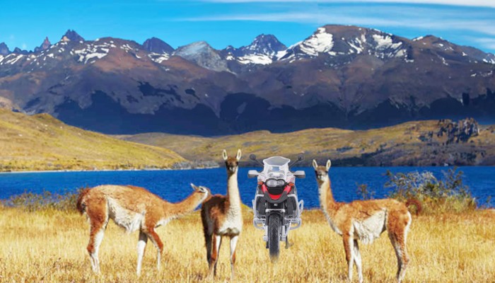 Jedziemy motocyklami do Ushuaia, najdalej wysuniętego na południe miasta na świecie! Po drodze lodowce. Zobacz co jeszcze