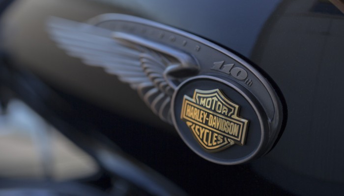Anniversary 110 Harley Davidson z