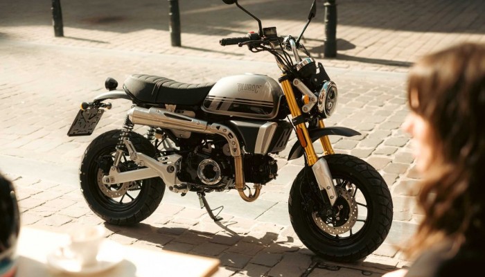 Bluroc X Bongo 50 2 z