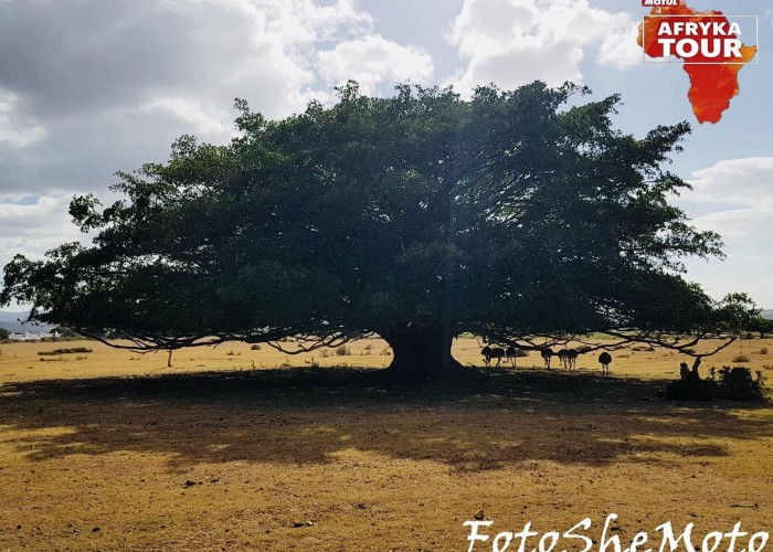 Motul Republika Poludniowej Afryki podroz motocyklowa 02