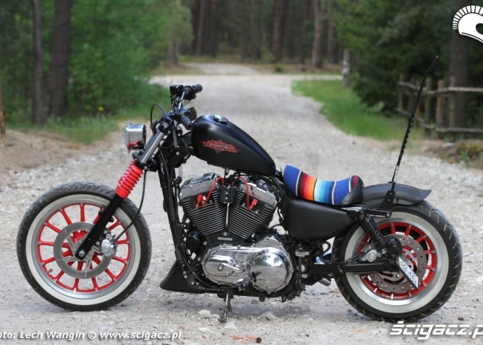 06 Custom Hell Ride Harley Davidson Sportster statyka