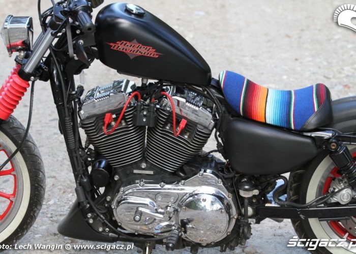 21 Custom Hell Ride Harley Davidson Sportster motor