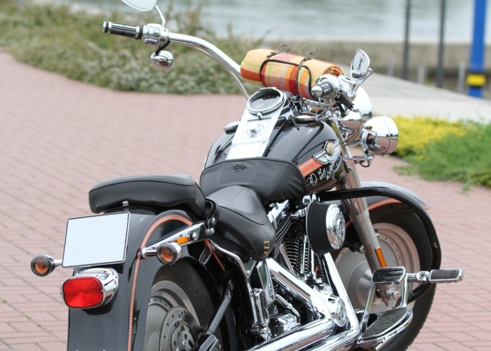 17 Harley Davidson Fat Bob Kazik tylem