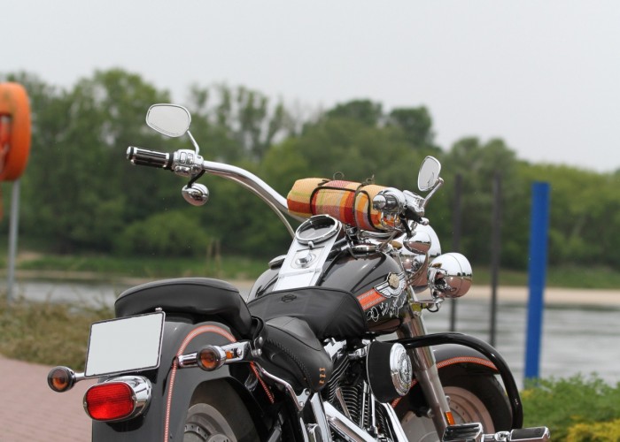 19 Harley Davidson Kazik tyl