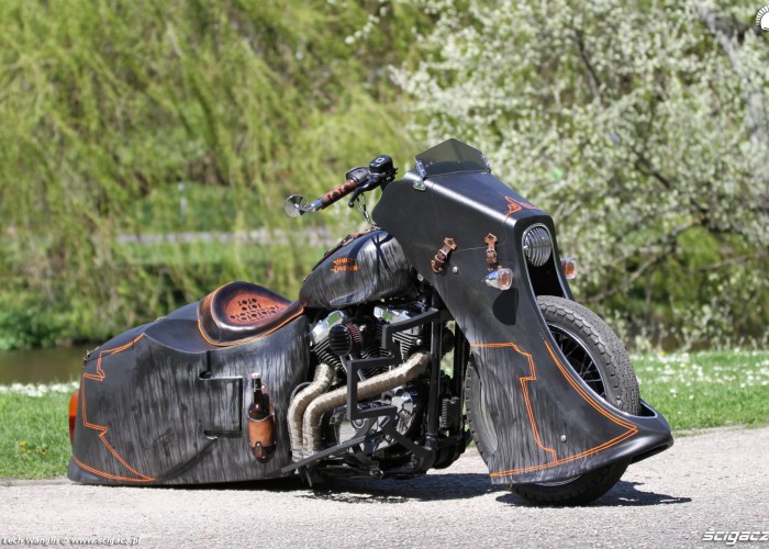 39 Harley Davidson Sportster 1200 Led Sled custom