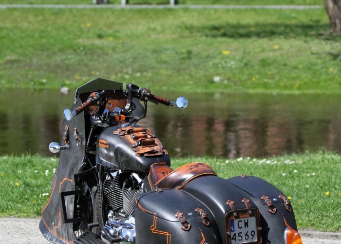 56 Harley Davidson Sportster 1200 Led Sled custom