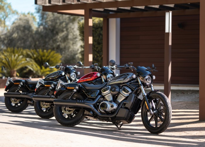 15 Harley Davidson Nightster 2022 trojaczki