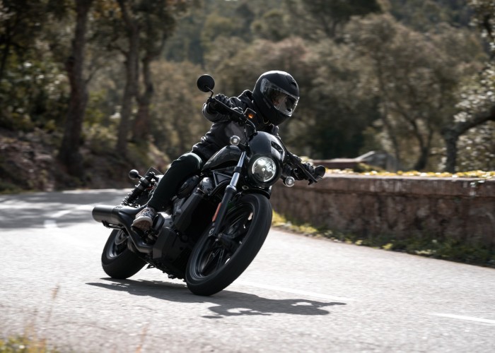 50 Harley Davidson Nightster 2022