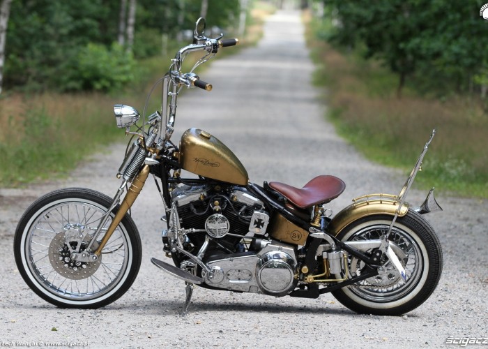 06 Harley Davidson FXST Softail Standard custom lewy profil