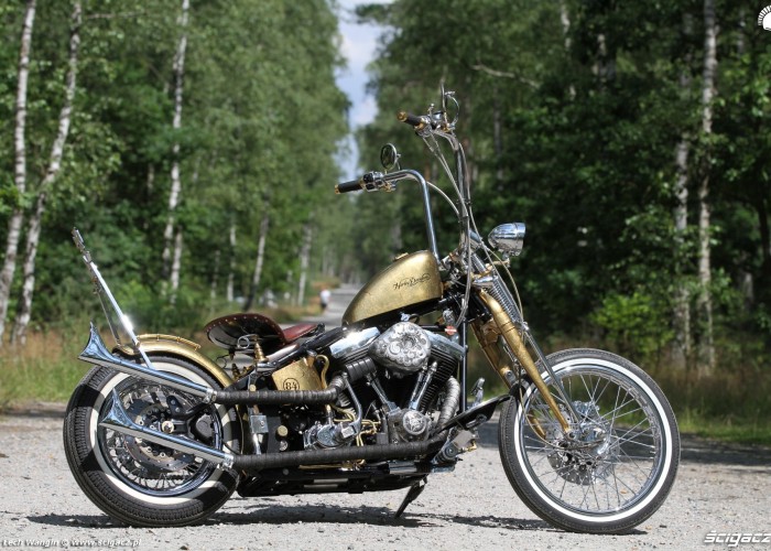 09 Harley Davidson FXST Softail Standard custom prawy profil