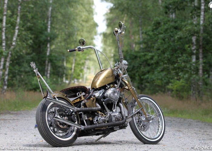 10 Harley Davidson FXST Softail Standard custom