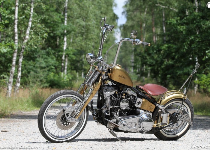 26 Harley Davidson FXST Softail Standard custom