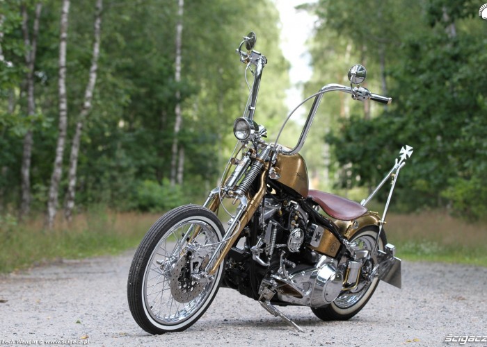 27 Harley Davidson FXST Softail Standard custom