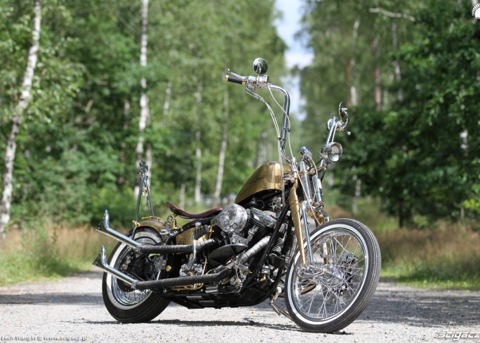28 Harley Davidson FXST Softail Standard custom