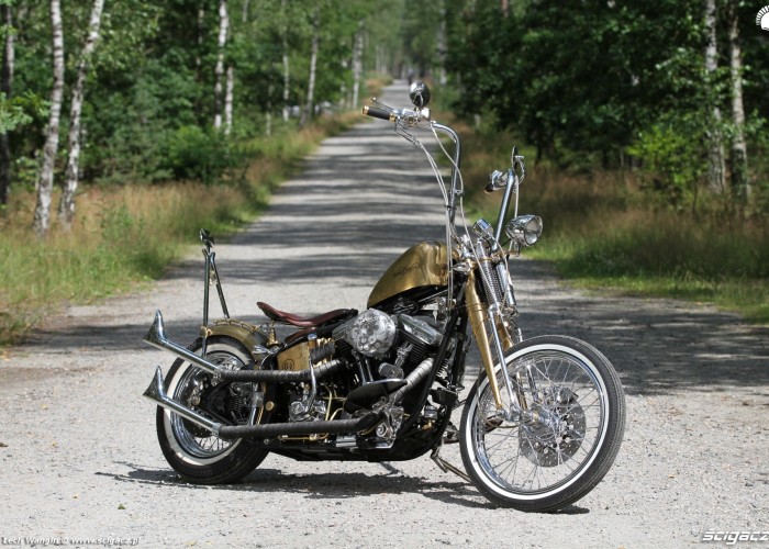 29 Harley Davidson FXST Softail Standard custom