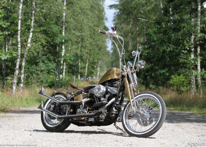 30 Harley Davidson FXST Softail Standard custom