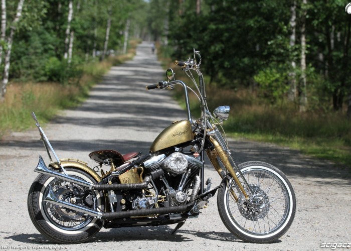 31 Harley Davidson FXST Softail Standard custom