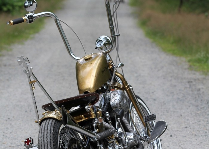 37 Harley Davidson FXST Softail Standard custom