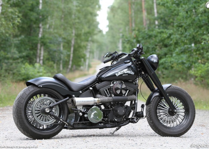 04 Harley Davidson Heritage Softail Classic Custom prawy bok
