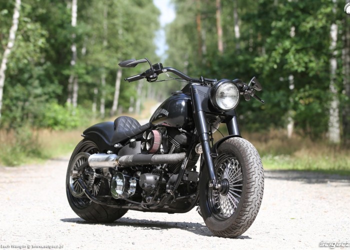 05 Harley Davidson Heritage Softail Classic Custom z przodu