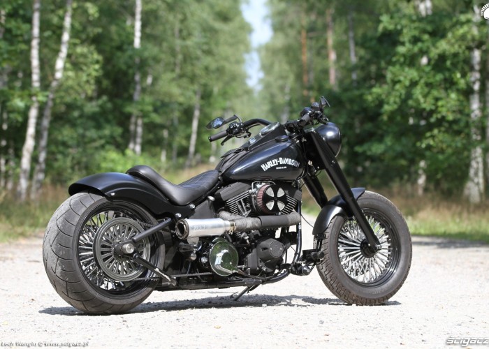 08 Harley Davidson Heritage Softail Classic Custom profil