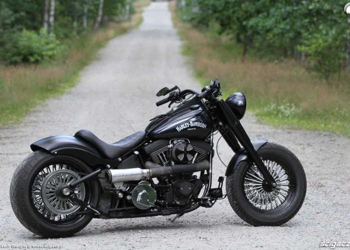 14 Harley Davidson Heritage Softail Classic Custom w lesie