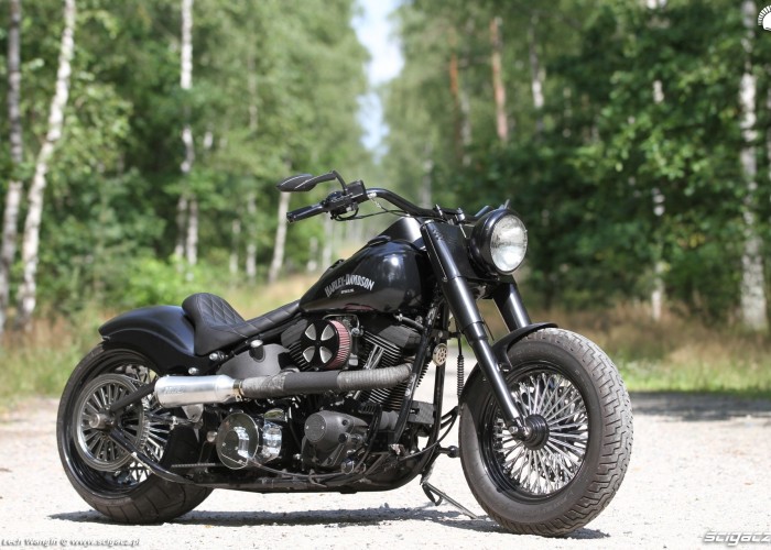 15 Harley Davidson Heritage Softail Classic Custom postoj