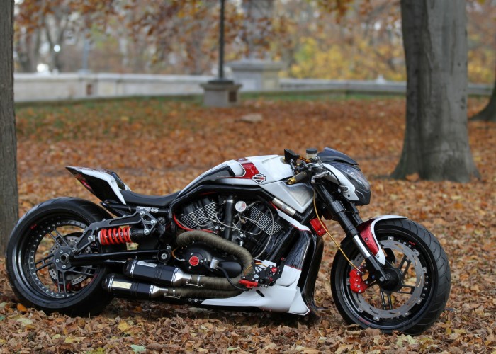 05 Harley Davidson V rod Grunwald