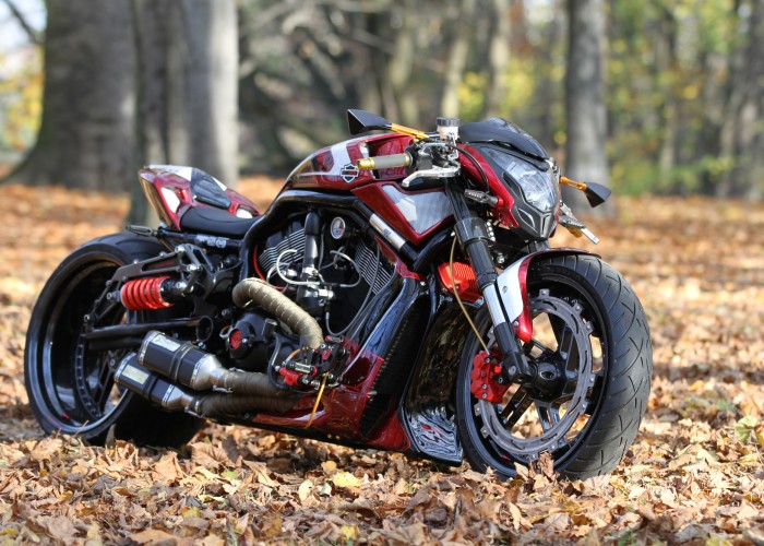 29 Harley Davidson V rod Mephisto