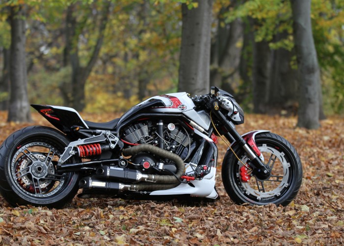 32 Harley Davidson V rod Grunwald jesien