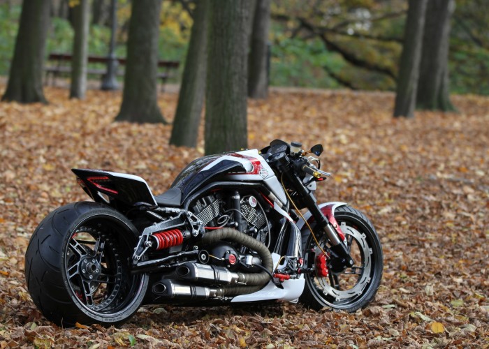 33 Harley Davidson V rod Grunwald plener