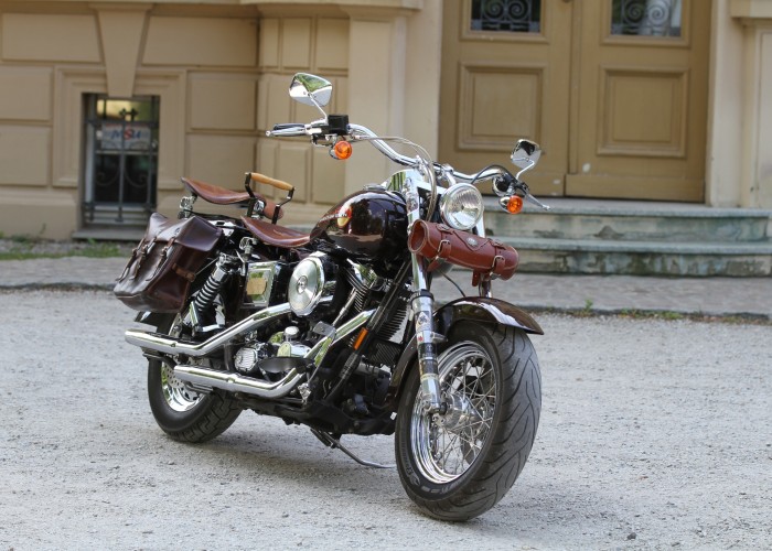15 Harley Davidson Dyna Wide Glide custom bike