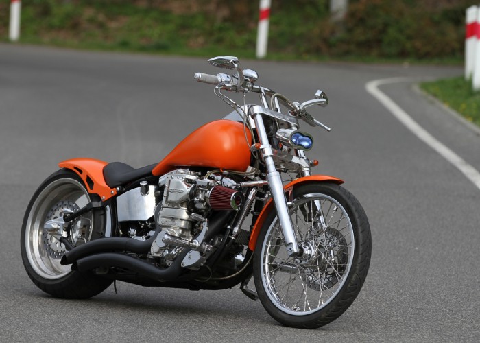 12 custom Harley Davidson Softail