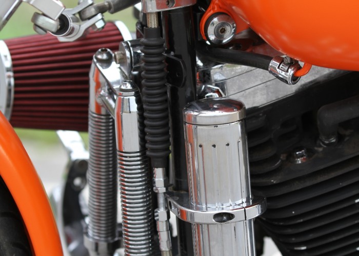 27 Harley Davidson Softail custom detale