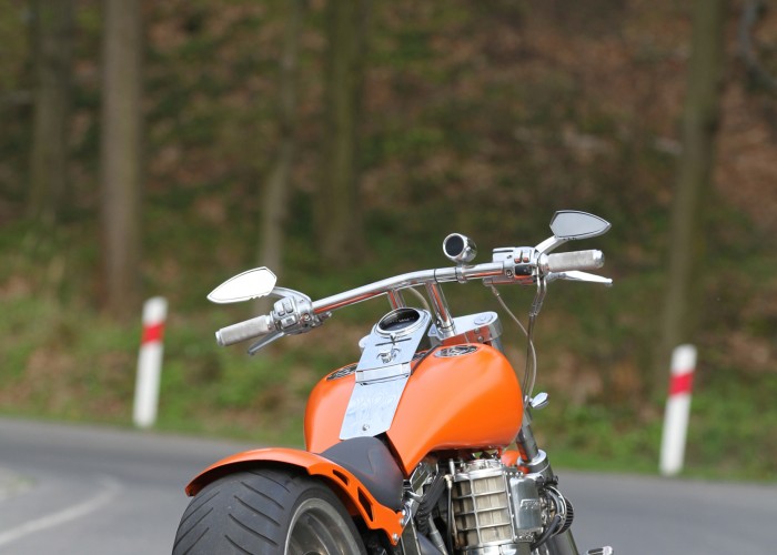 33 Harley Davidson Softail tyl