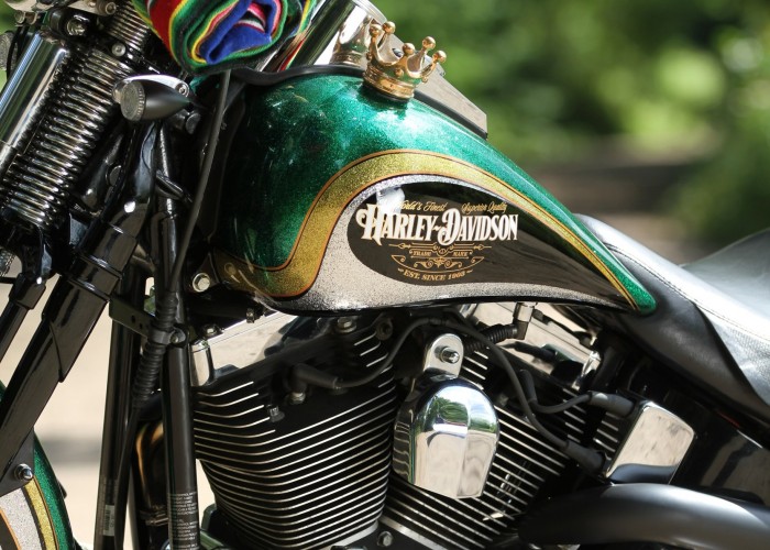 28 Harley Davidson Softail Springer custom z bliska