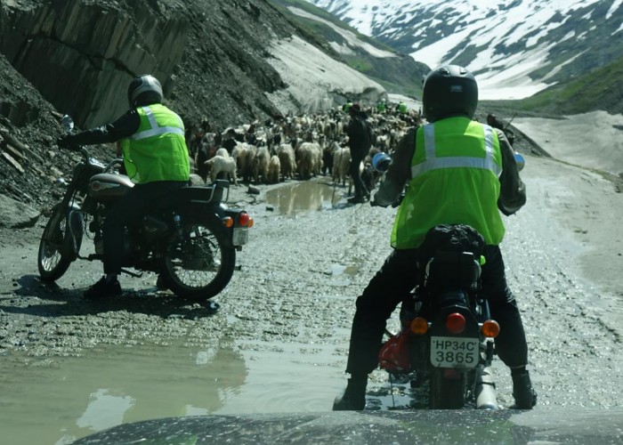 51 Motocykle w Himalajach kozy