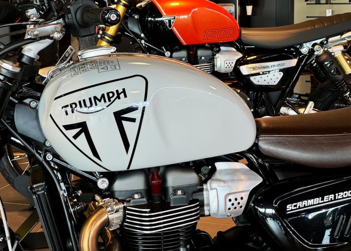 31 triumph scrambler 1200 salon lodz