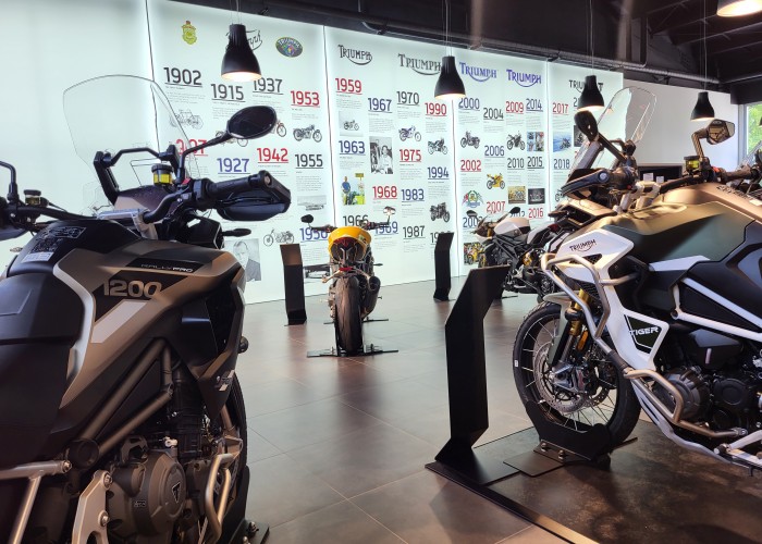 39 triumph tiger family salon lodz