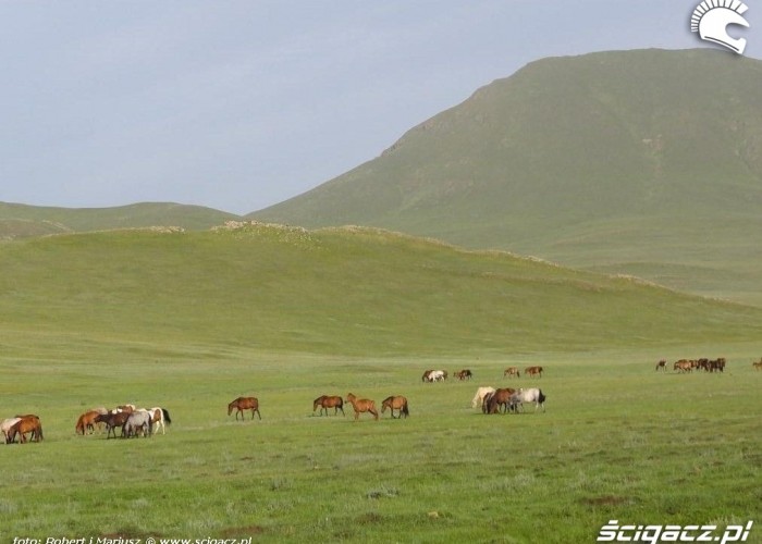 Mongolia wyprawa motocyklami 9