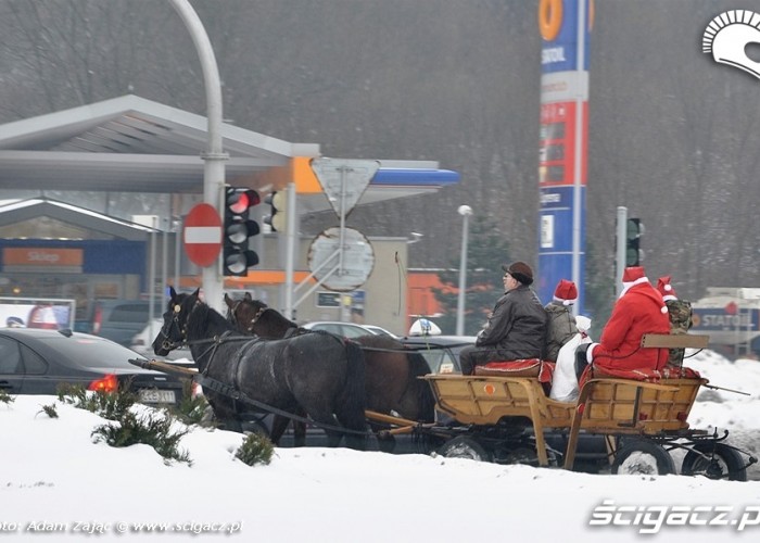 dorozka Lublin 2010