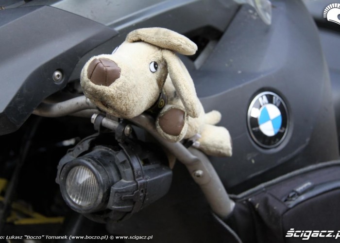 maskotka BMW