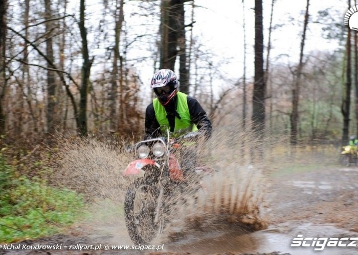 pogon za lisem juz 64 raz 2