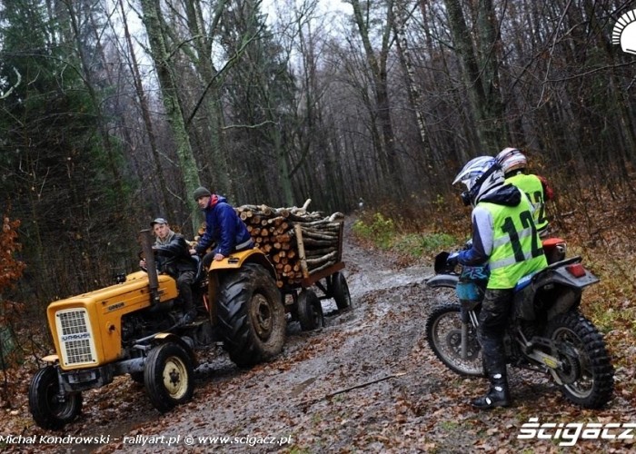 szescdziesiata czwarta edycja pogoni za lisem - 2010 7